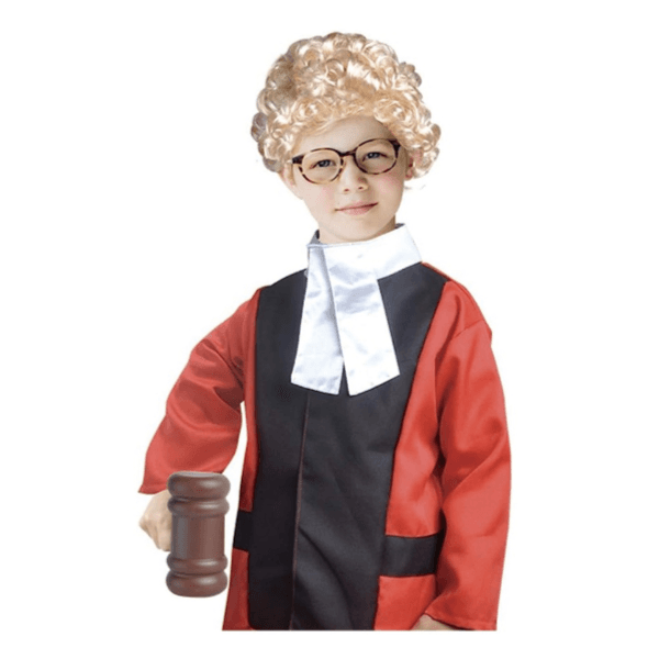 Judge Costume