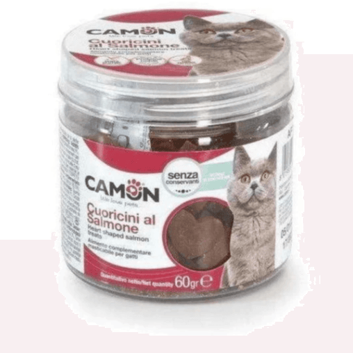 Heart Shaped Salmon Treats 60G Jar