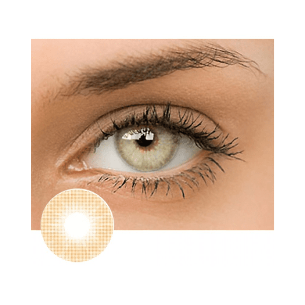 Fresh Lady Polar Lights/ Brown BL-1 - No Power
