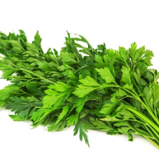 Parsley 1bundle