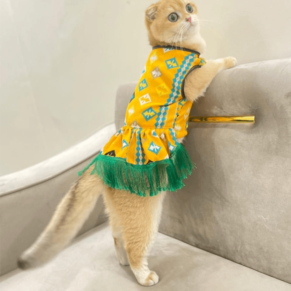 Traditional Dress For Pet Yellow Type 3 Medium