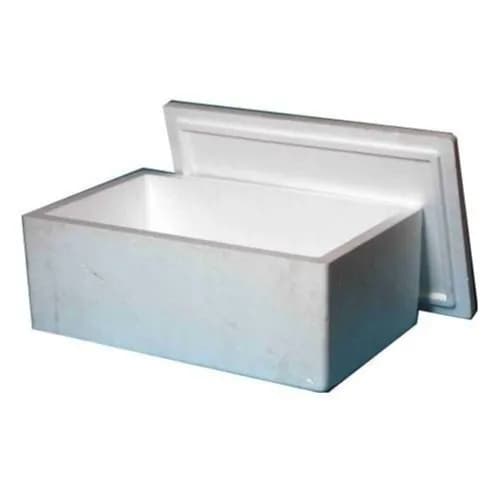 Fillin Box Thermocol Medium Size