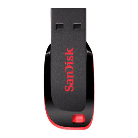 Sandisk Flash Drive