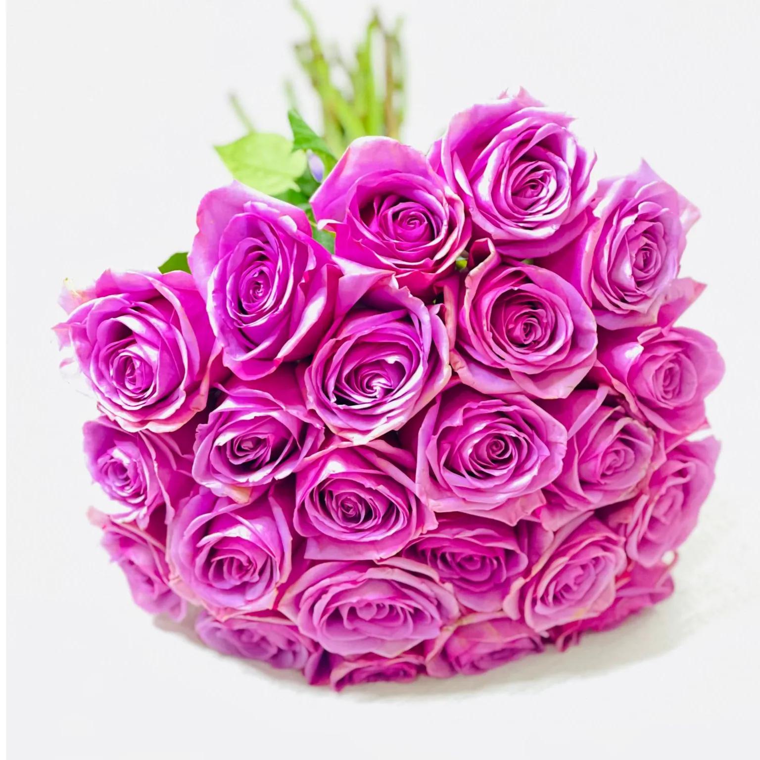 Purple Rose 25 Piece Whole Sale