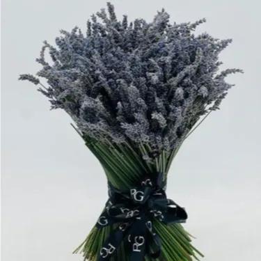 Lavender Bouquet No.6187