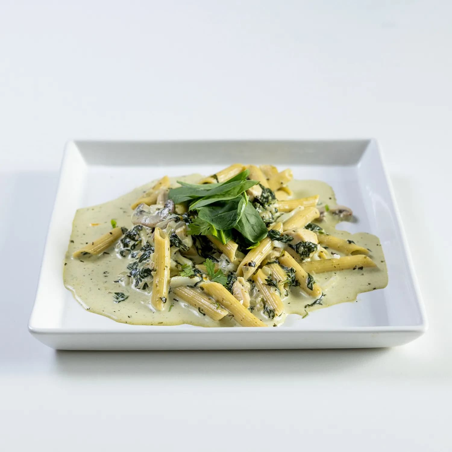 Pasta With Chicken And Mushroom Spinach And Pesto Sauce
