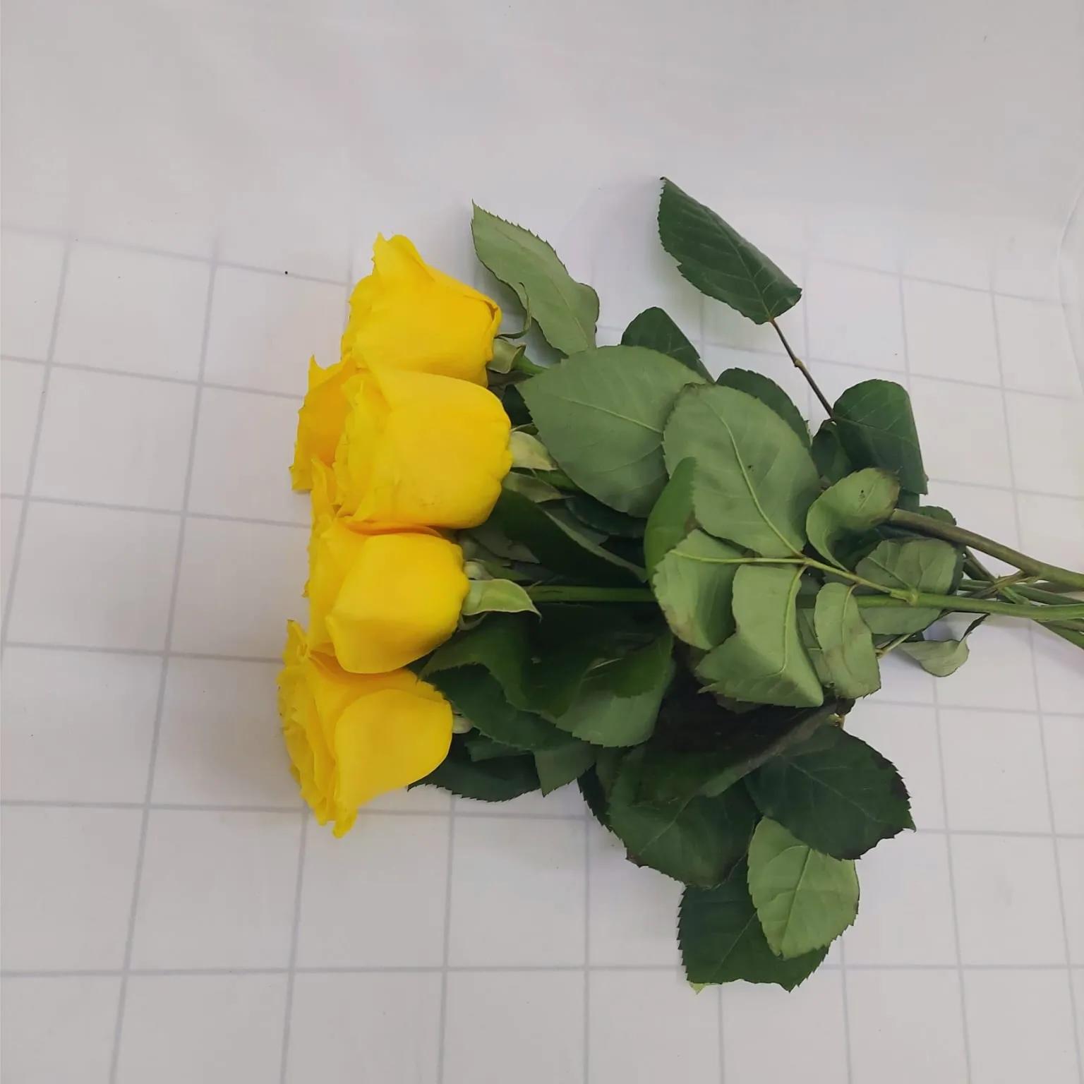 1x Yellow Rose