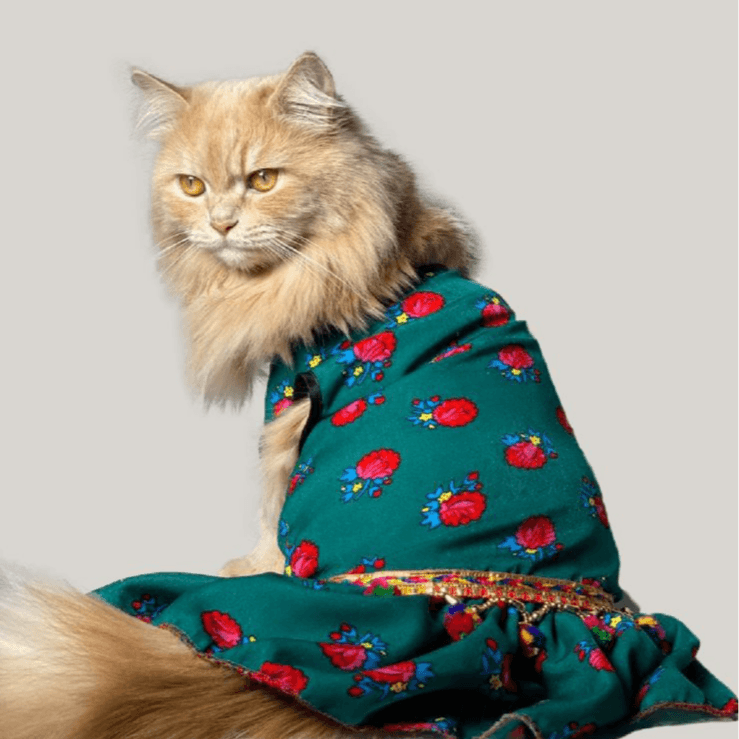 Traditional Dress For Pet Green Type 1 Large