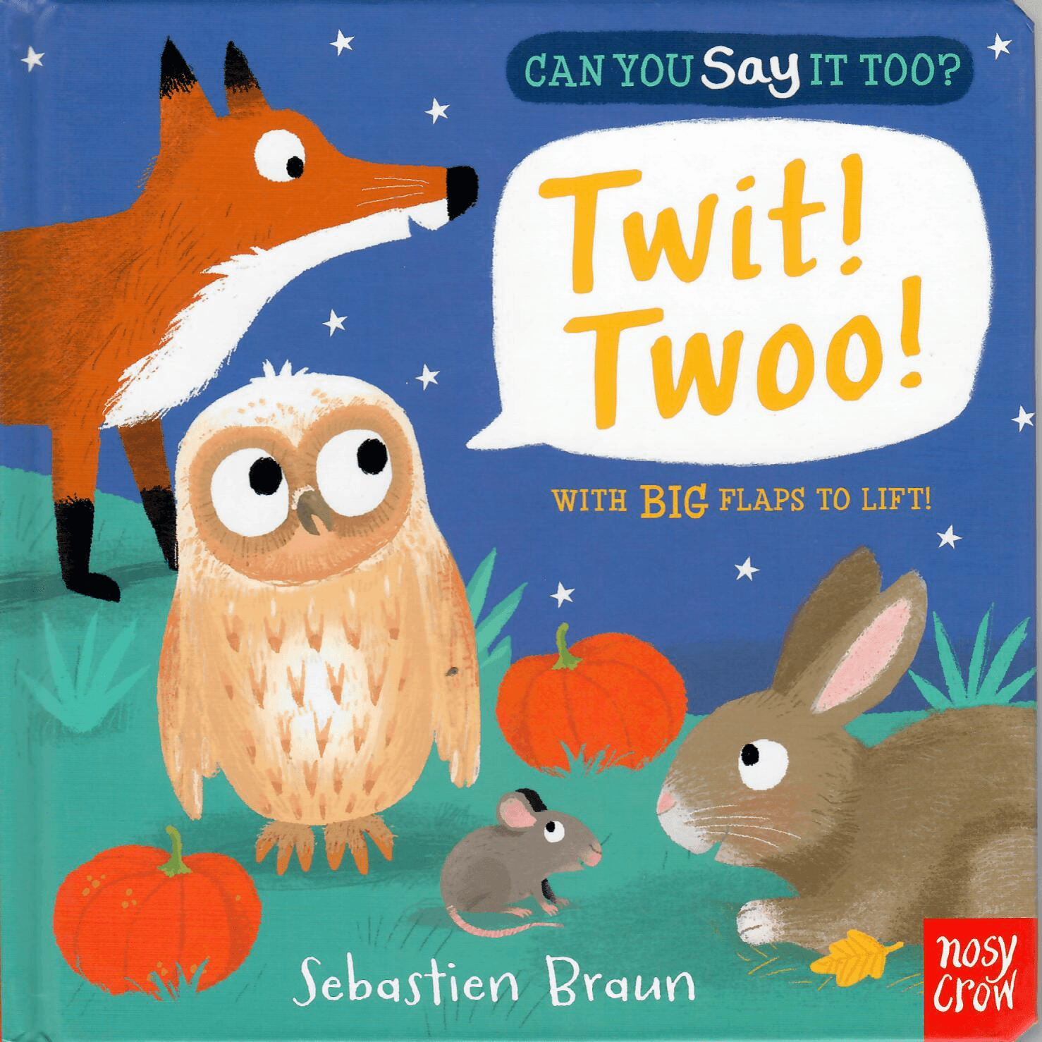 633477 Can You Say It Too? Twit! Twoo! (Board Book) Illustrated by Braun, Sebastien