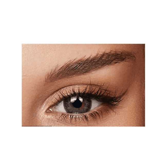 Bella One Day Color Contact Lenses Ash Brown 10 Lenses