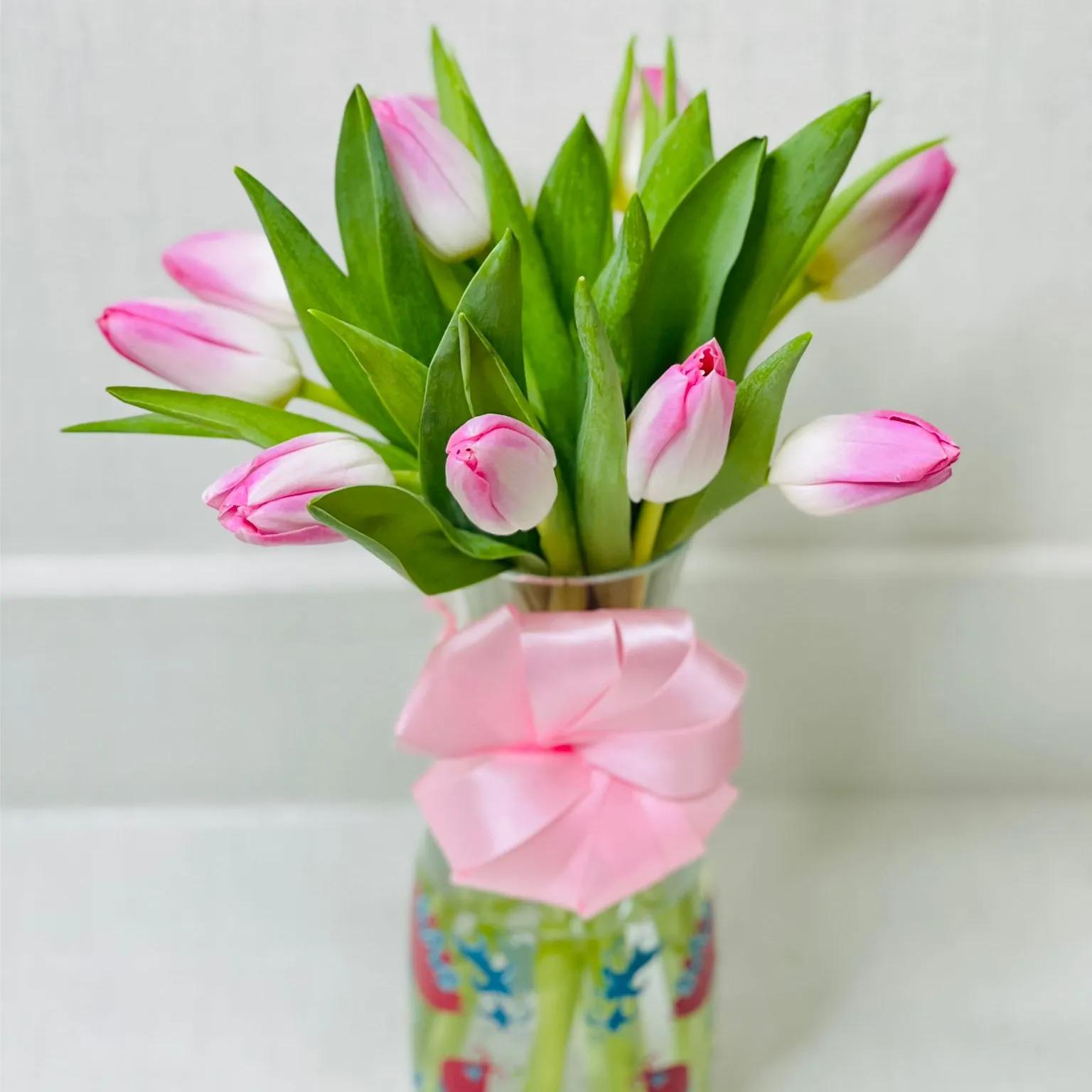 Fresh Pink Tulip