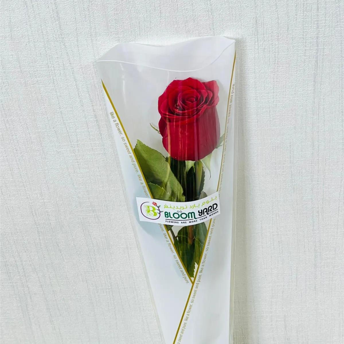 Single Red Rose. I Love You.