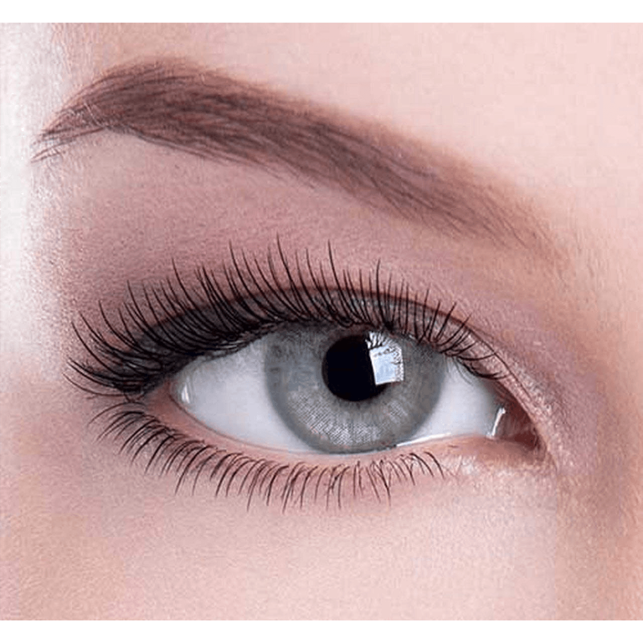 Beauty Monthly Color Lens 2'S Gray