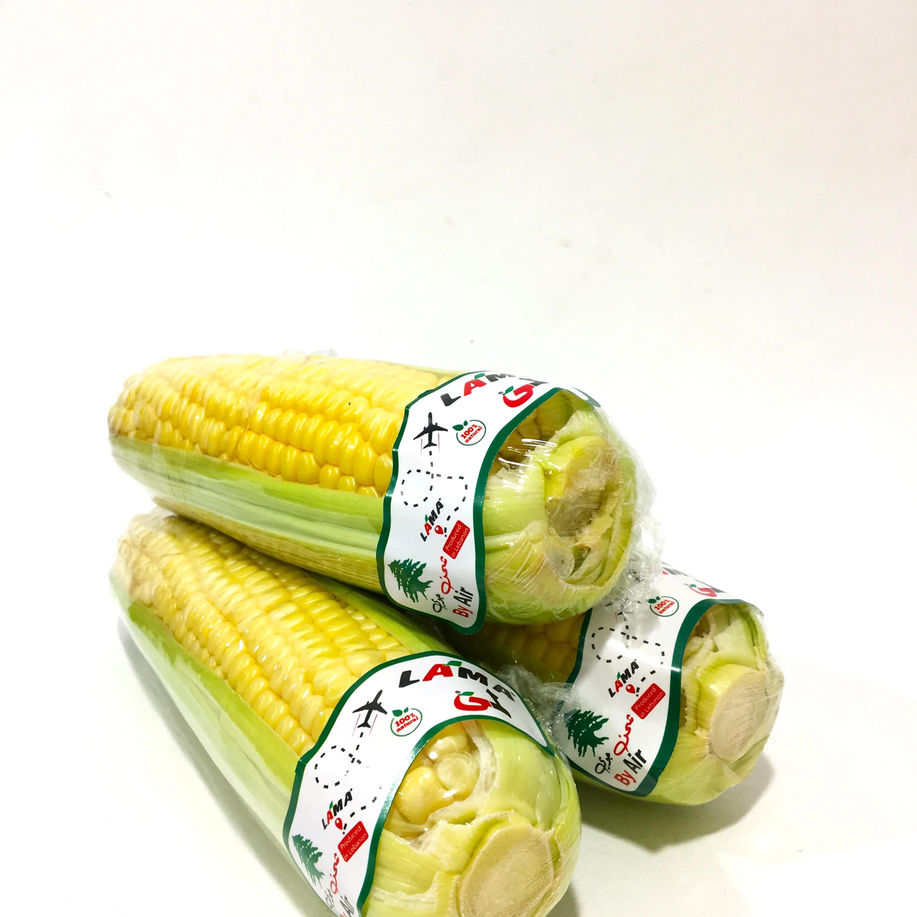 Sweet Corn Lebanon kg