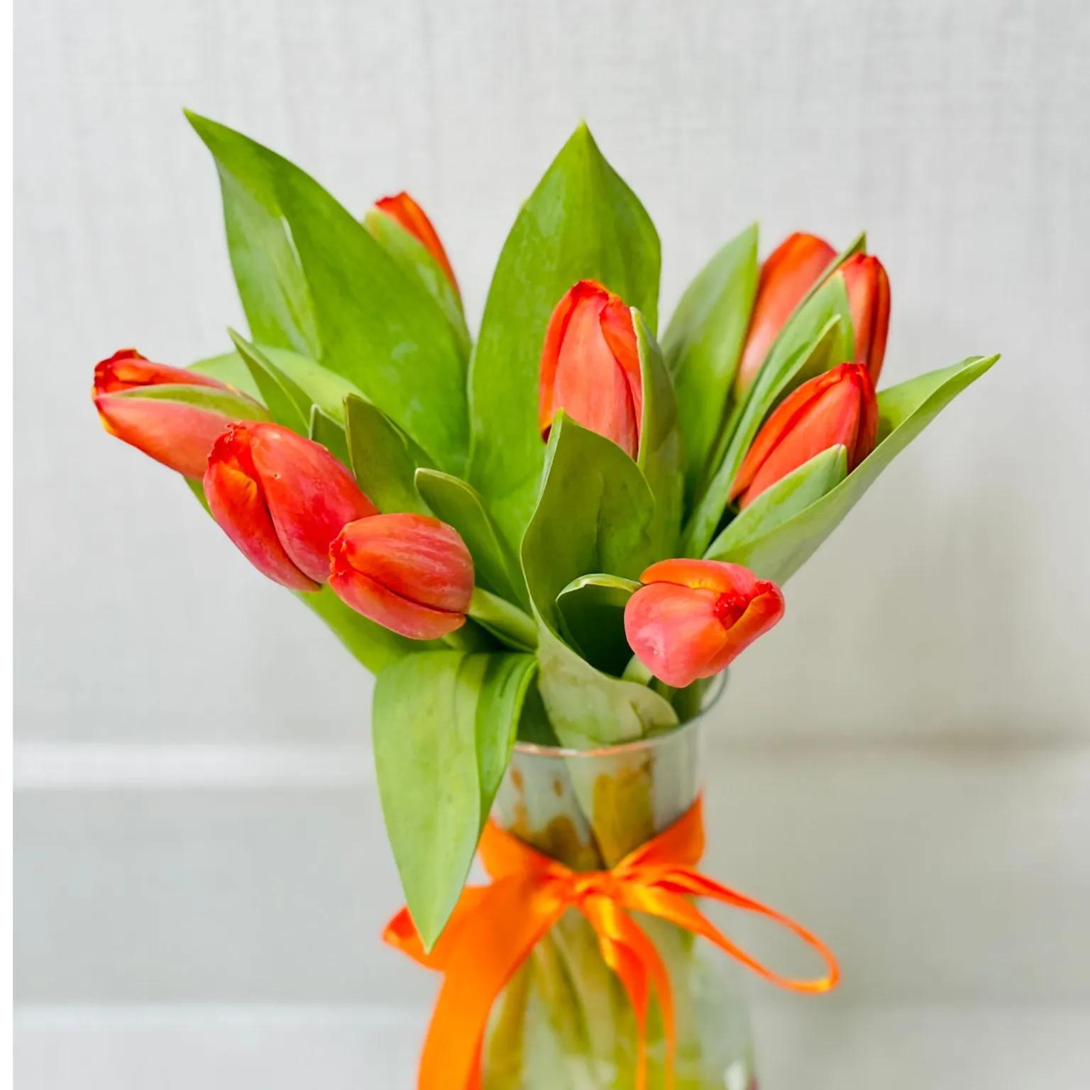 Vibrant Orange Tulip