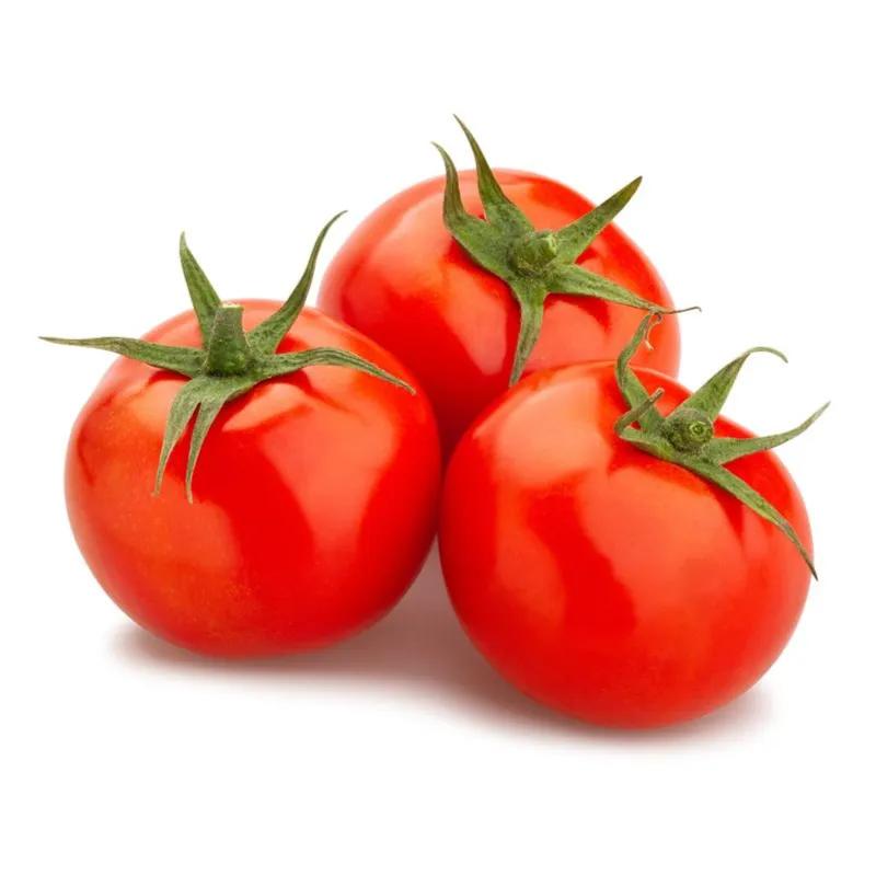 Tomato 500g