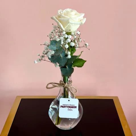 Single White Rose In A Vase