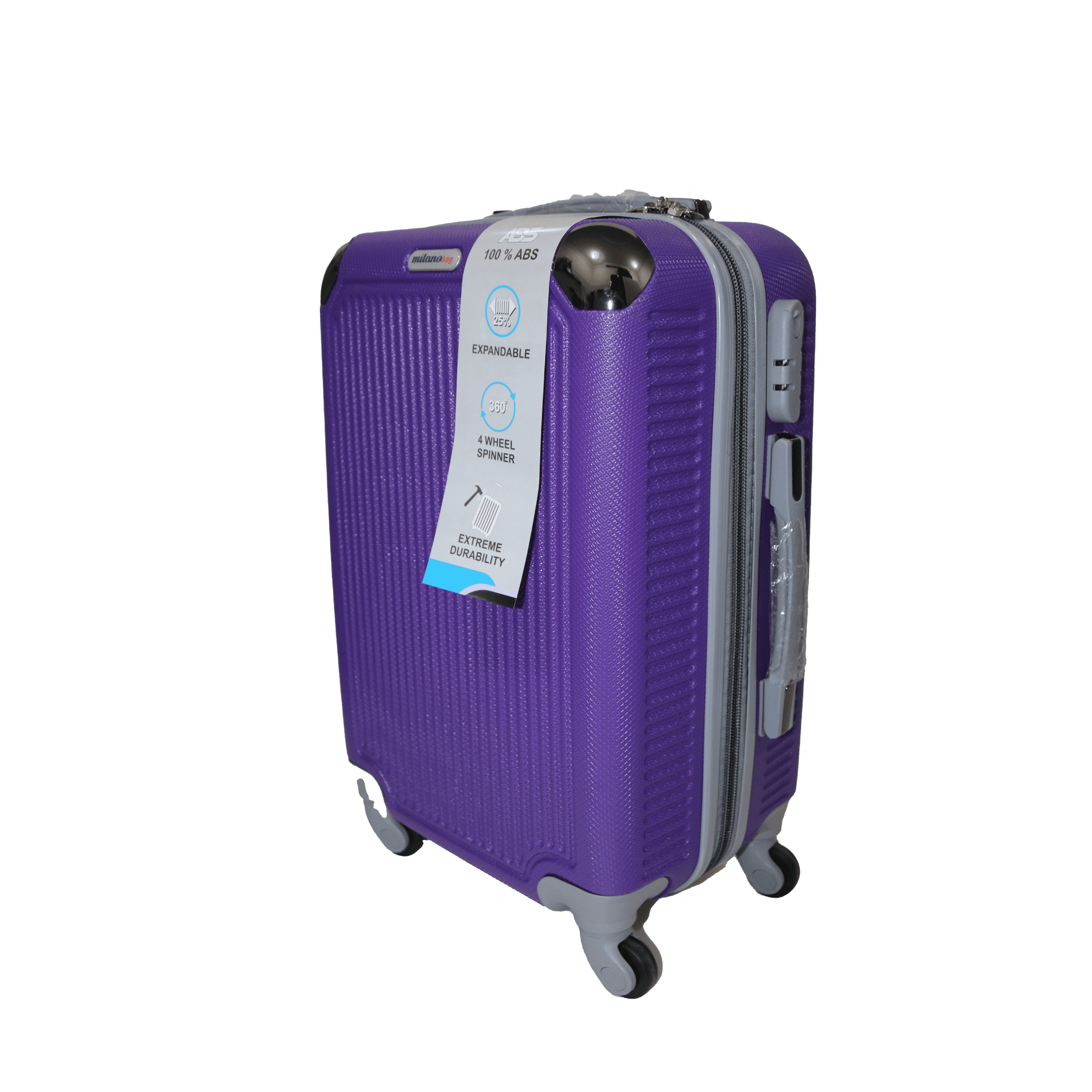 Purple Small 20'' Luggage