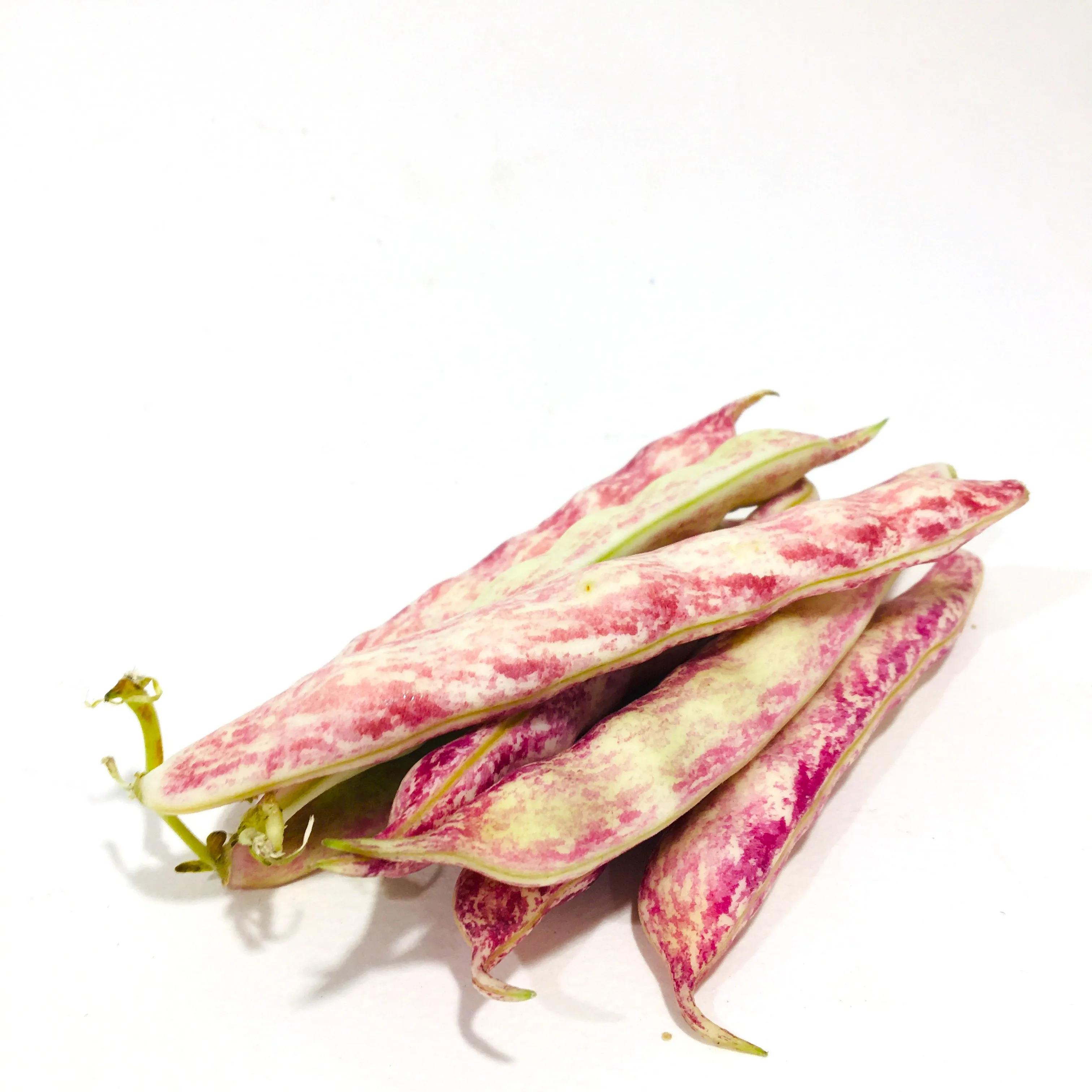 Fava Beans Lebanon 250g