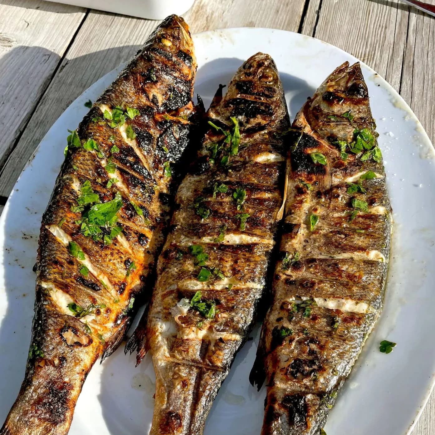 Fish Grilled Tandoori