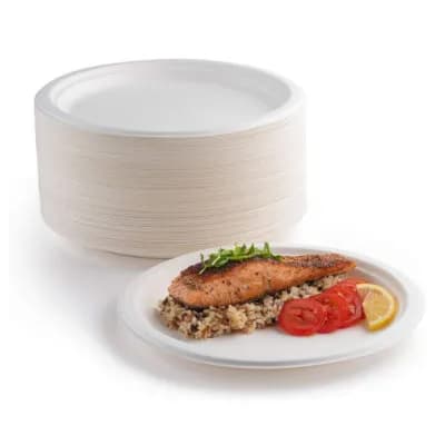 Food Pack Paper Plate 9inch 100 Pieces