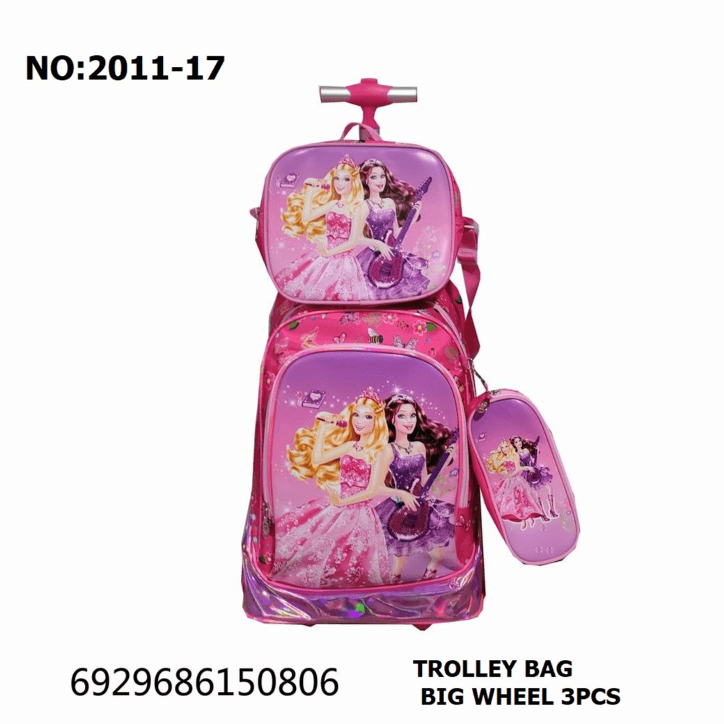 Trolly Bag 20 Inch