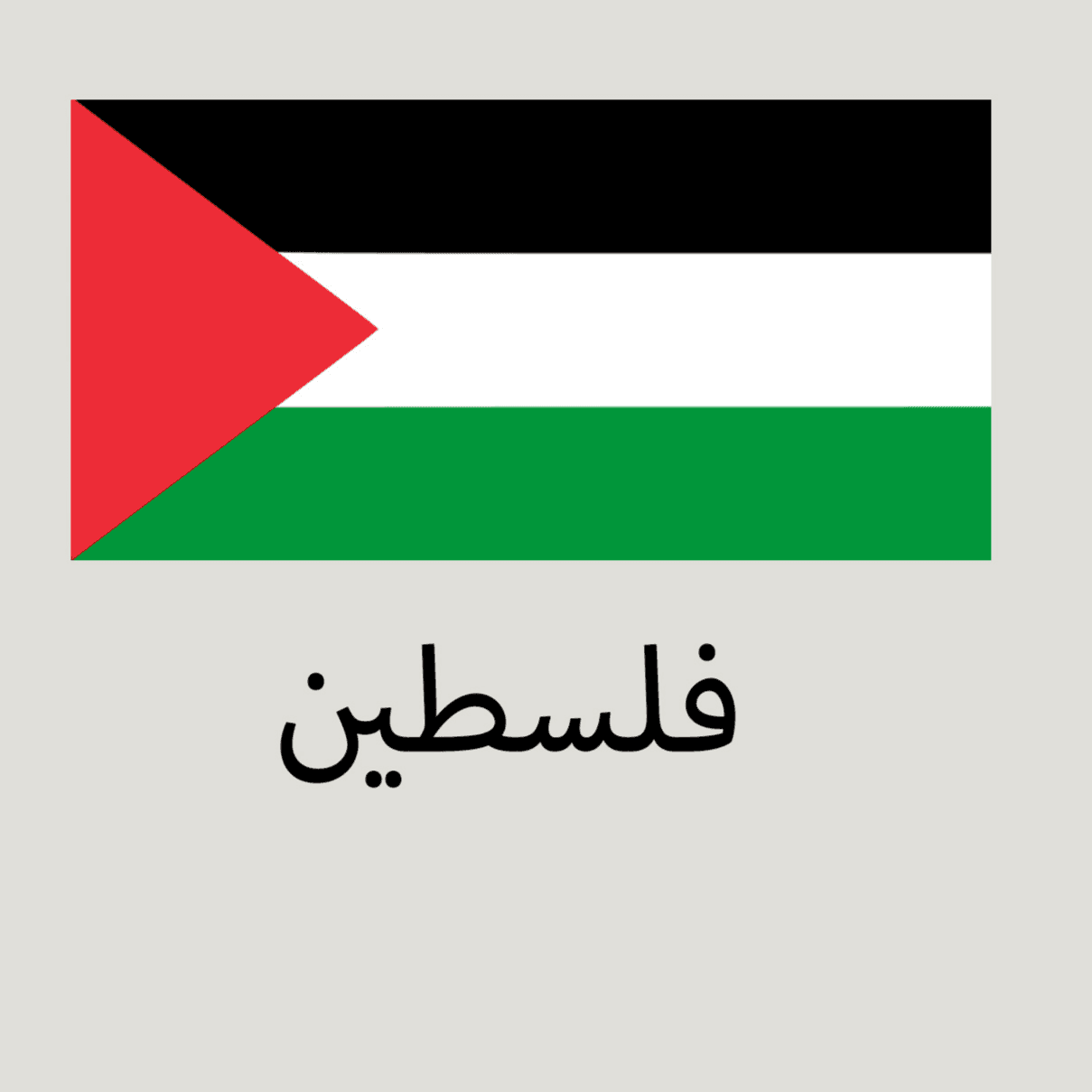 علم فلسطين كبير