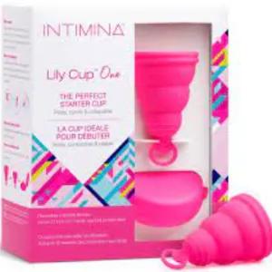 Lily Cup One The Perfect Menstrual Cup Starter