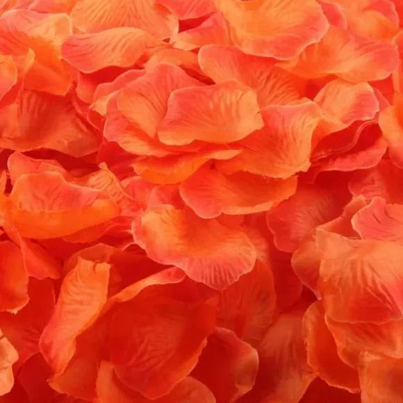 Orange Decorative Petals