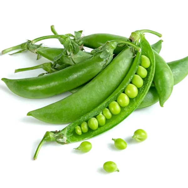 Green Peas Lebanon 500g