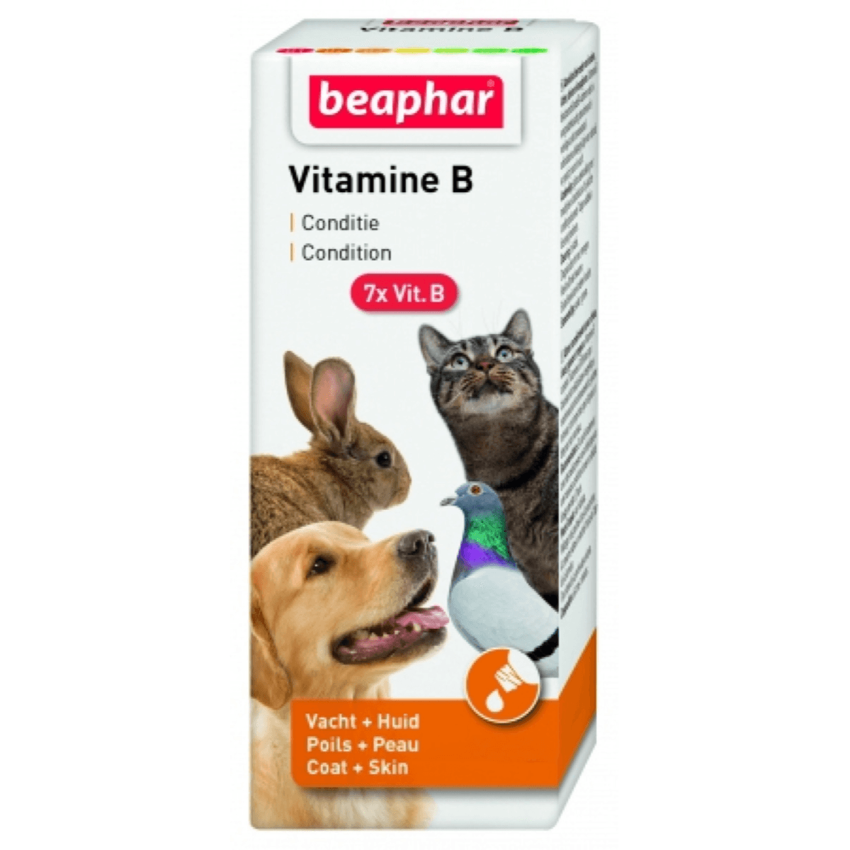 Vitamin B Complex - 50ml