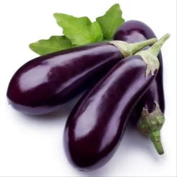 Egg Plant 1kg