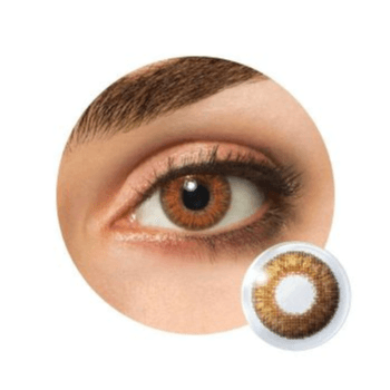 Freshlook Colorblends Honey Monthly Lenses