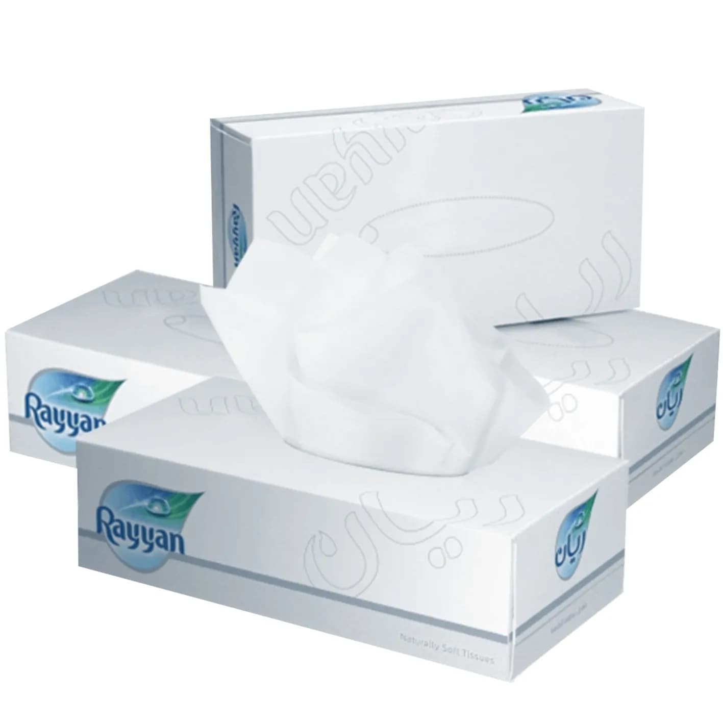 Rayyan Facial Tissues, 2 Ply 200 Sheets, 1 Box