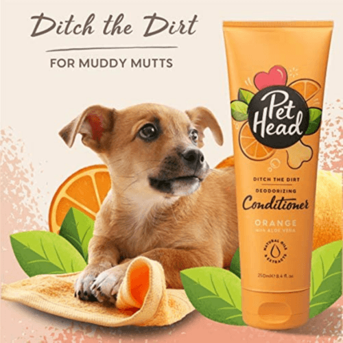 Pet Head Dog Ditch The Dirr Deodorizing Conditioner Orange 250ml