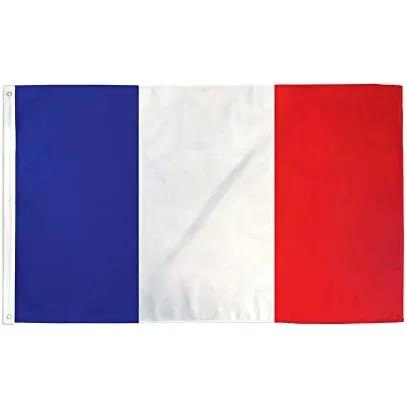 Flag Of France With Stick 40x59cm (Large)