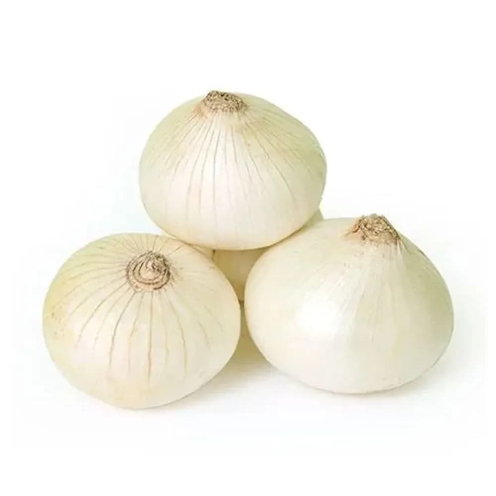 White onion