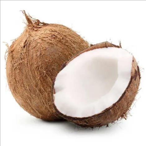 Coconut Cut Pc 1pkt