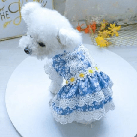 Pet Flower Design Long Clothes Blue