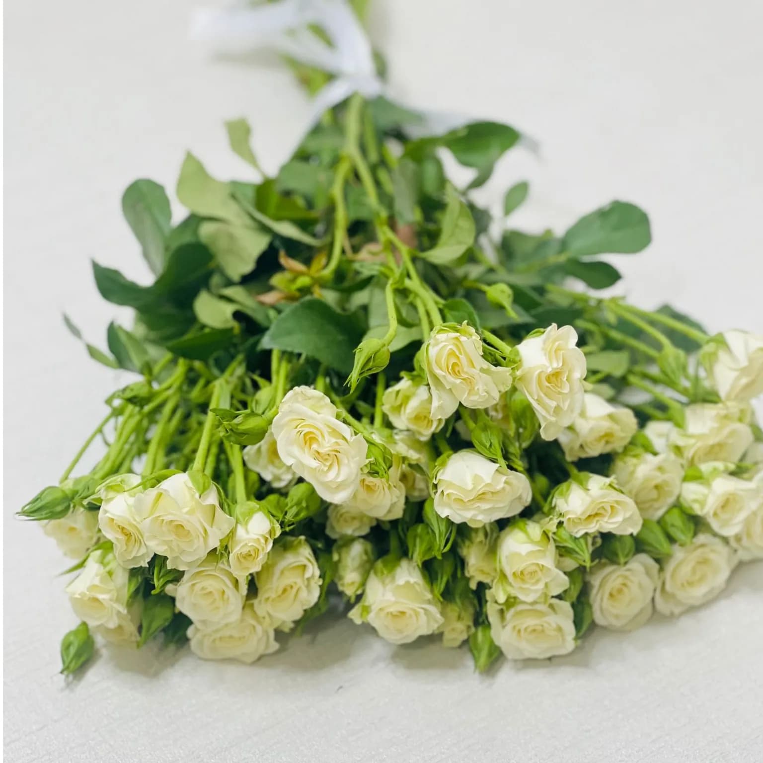 Fresh White Baby Rose 10 Piece