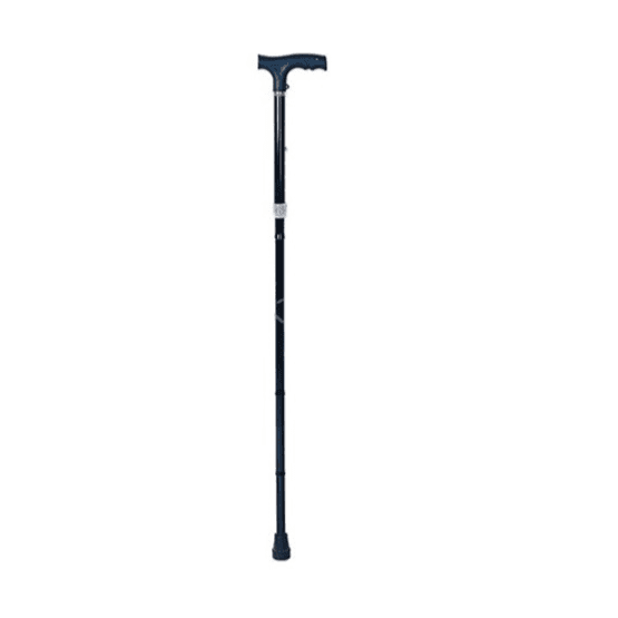 Foldable Walking Stick (Ca835L2)