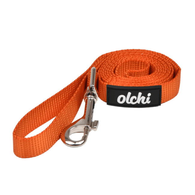 Olchi Combi Leash Orange 120cm