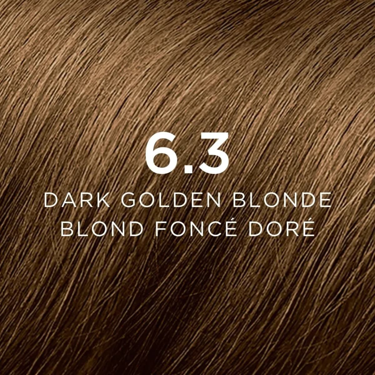 Phyto Color Dark Golden Blonde No 6.3