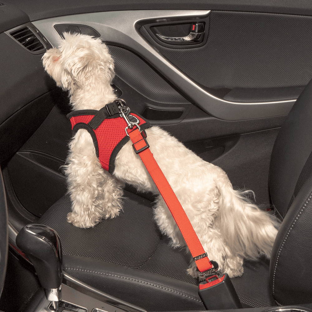 Puppia Dog Car Seatbelt  / Red / Beige / Blue