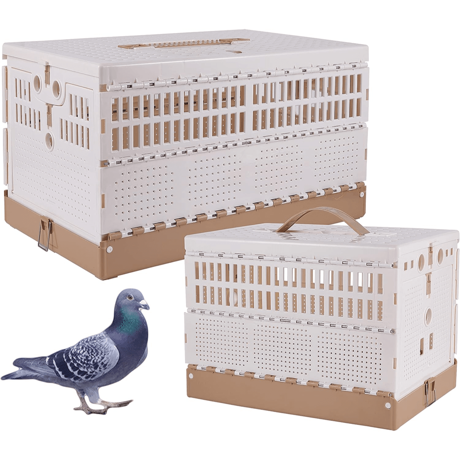 Bird's Cage Plastic - (L)