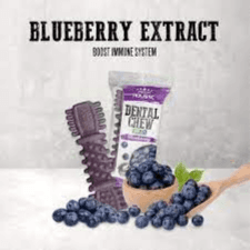 Blueberry Dental Chew Treats 25g