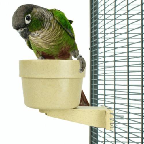 Bird Feeding Bowl Easy-Lock - Large