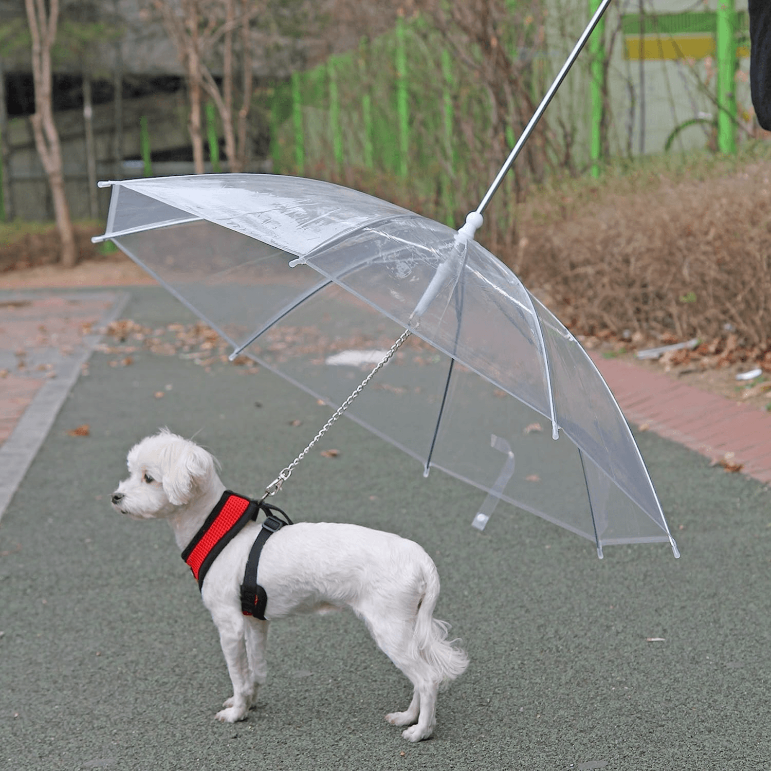 Puppia Authentic Umbrella For Dog, One Size, White