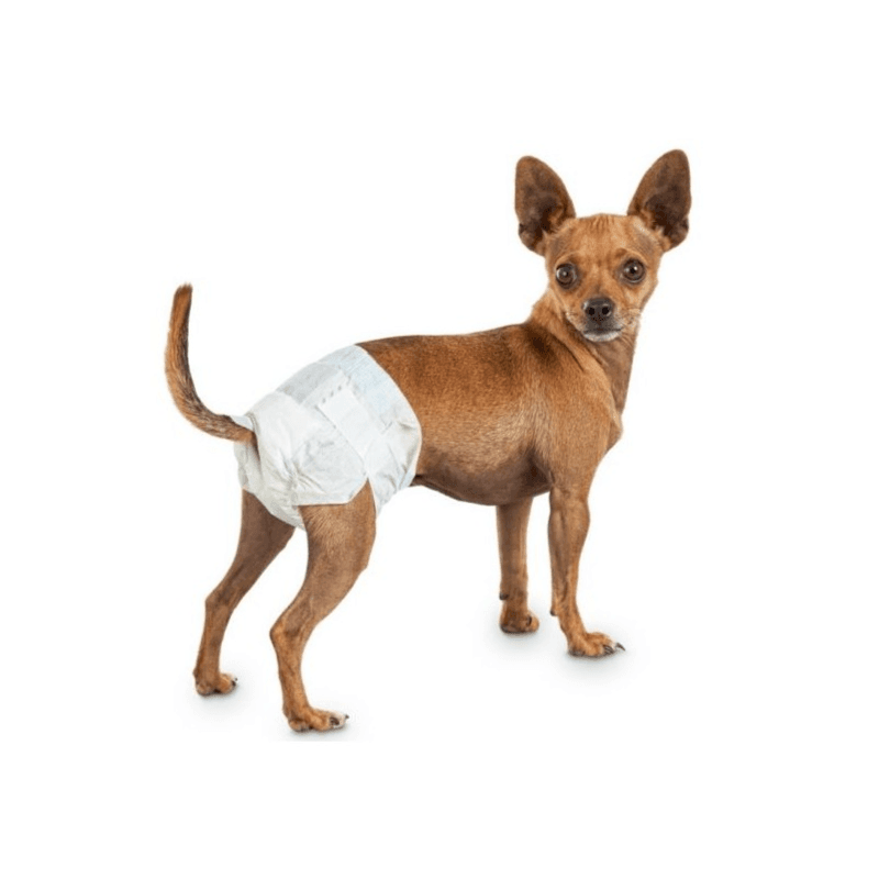 Pet Diaper - Medium Size -10 Pieces  ( Waist Size  42.50X 30 Cm )