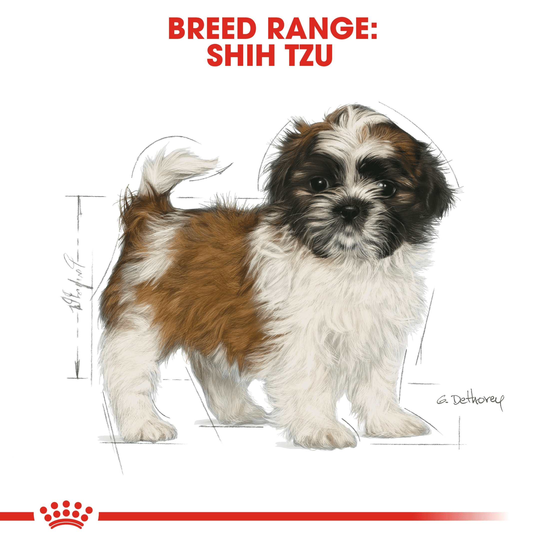 Royal Canin Shih Tzu Puppy 1.5kg